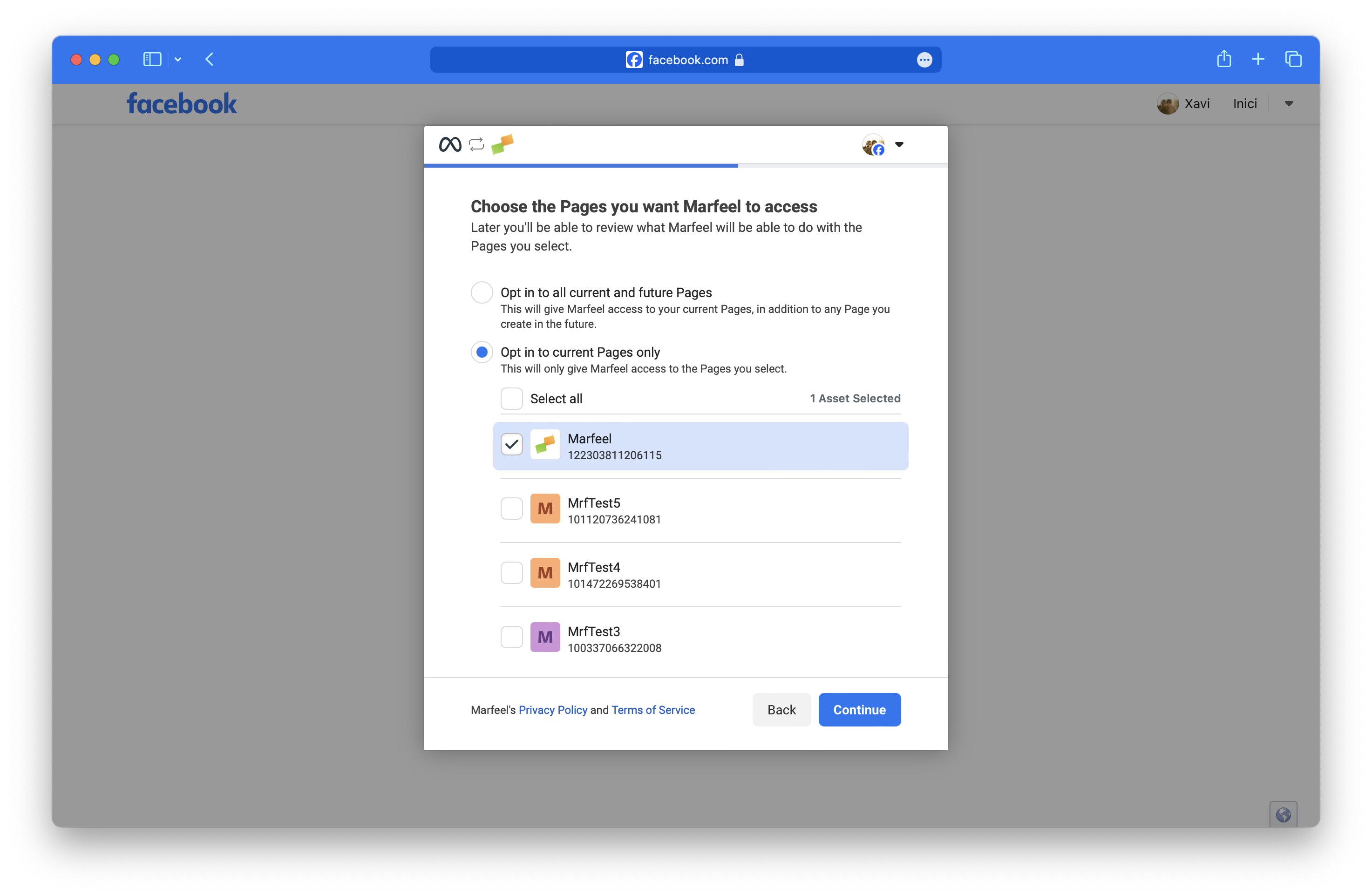 Facebook page selector showing available pages to connect|690x450