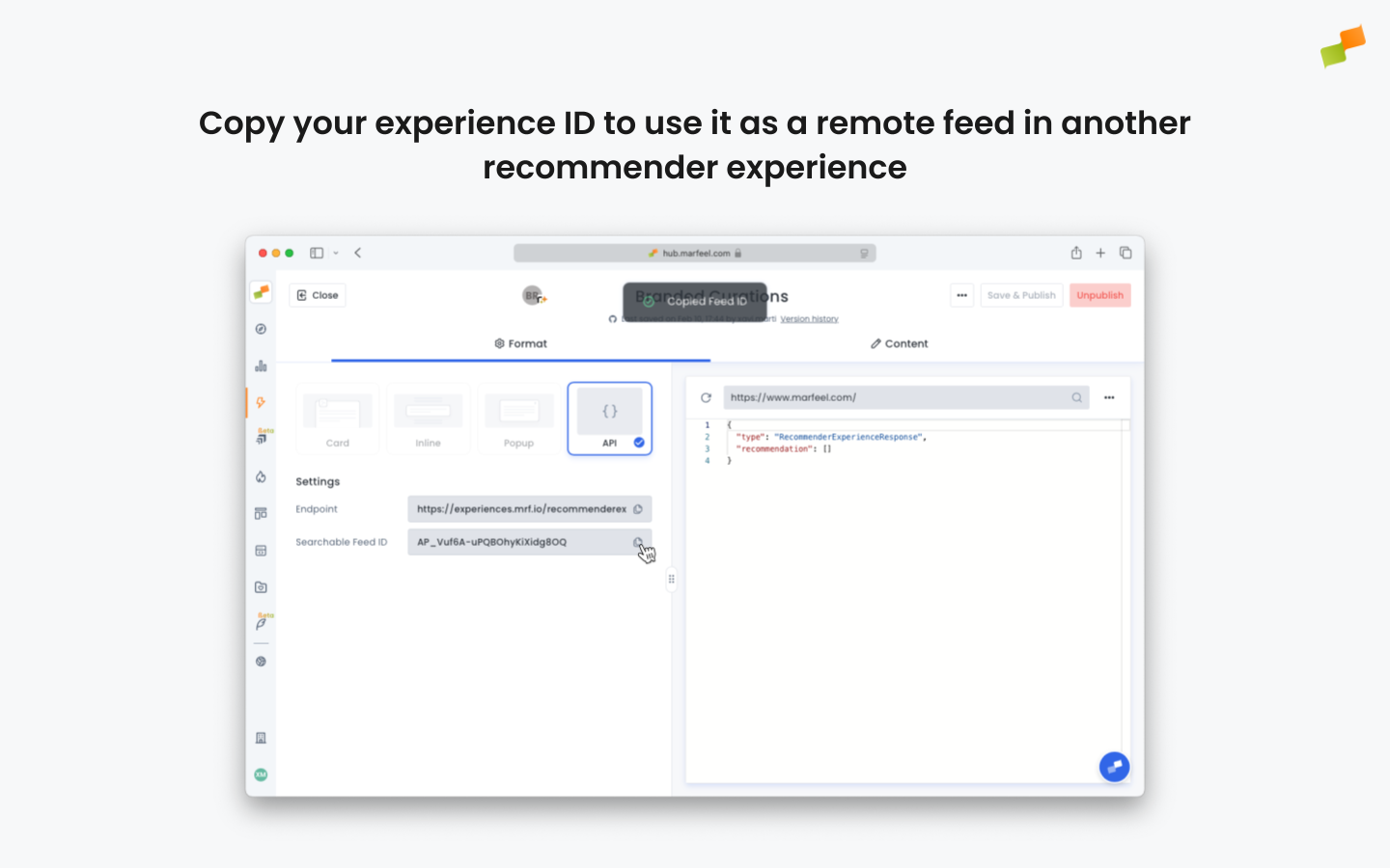 Content tab showing the experience ID field ready to copy|690x431