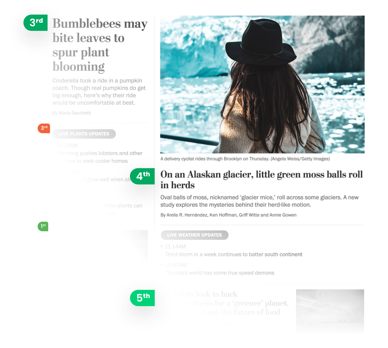 Marfeel HUD - Homepage placement