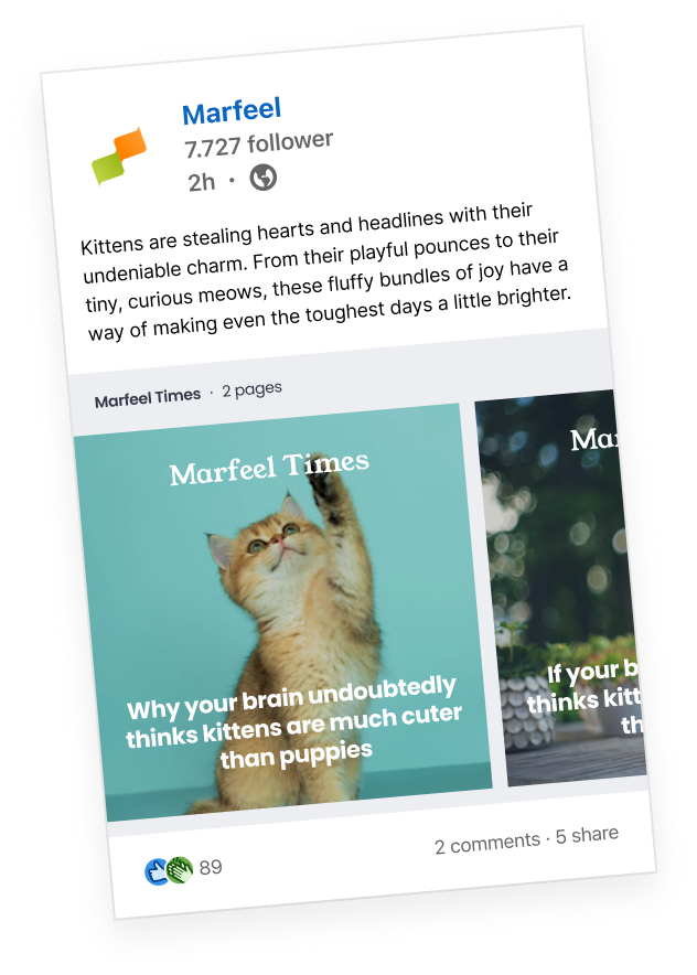 Marfeel Amplify - LinkedIn format