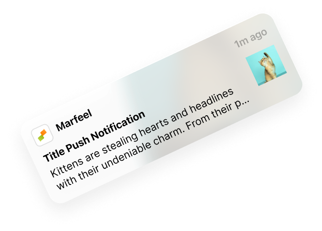 Marfeel Amplify - Push format