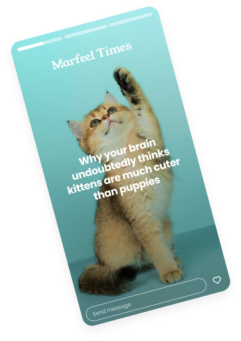 Marfeel Amplify - Story format