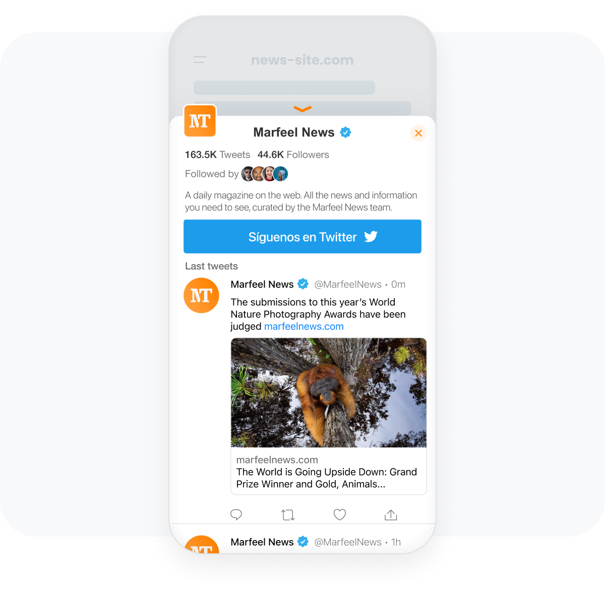Social presence growth