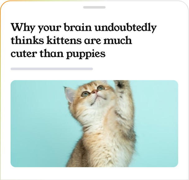 Marfeel Recommender - Flowcard article preview