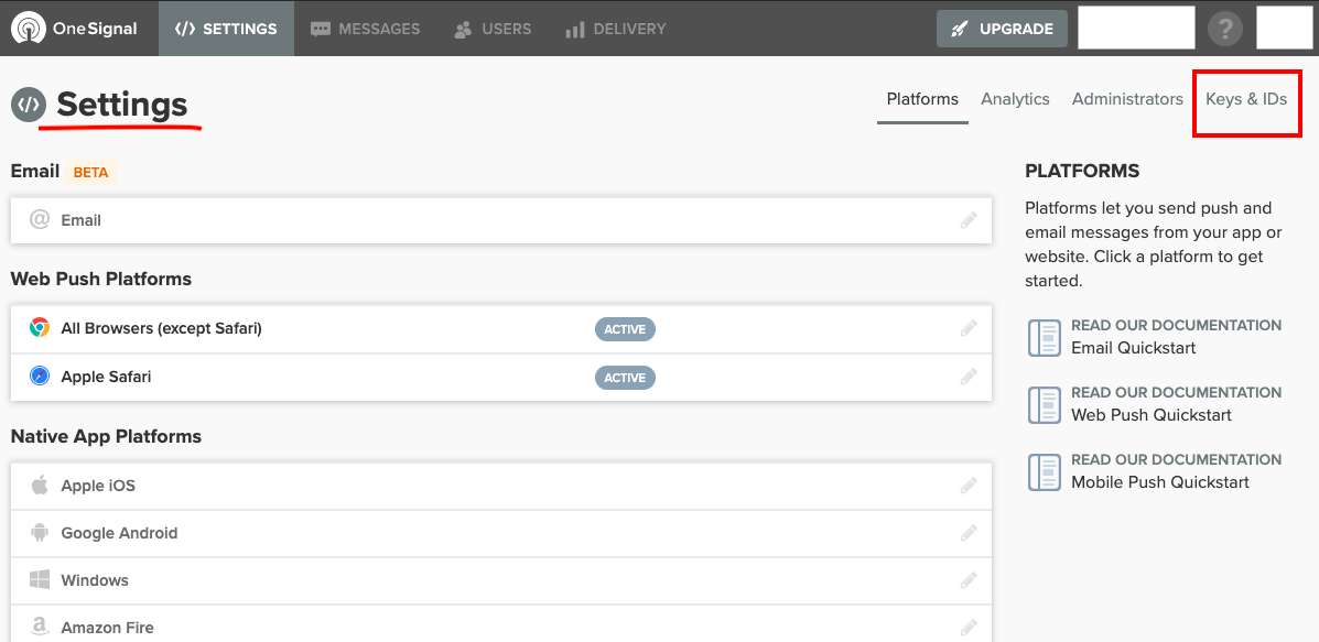 OneSignal: Keys & IDs tab